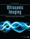 ULTRASONIC IMAGING]