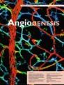 ANGIOGENESIS]