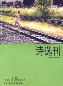 詩選刊·下半月雜志