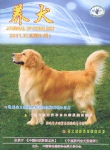 養犬雜志