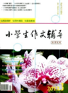 小學(xué)生作文輔導(dǎo)·教師適用雜志