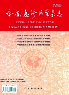 嶺南急診醫(yī)學(xué)雜志省級(jí)期刊投稿